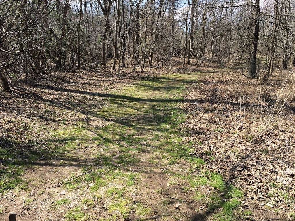 Julie Metz Wetlands Trailhead Parking | Woodbridge, VA 22191