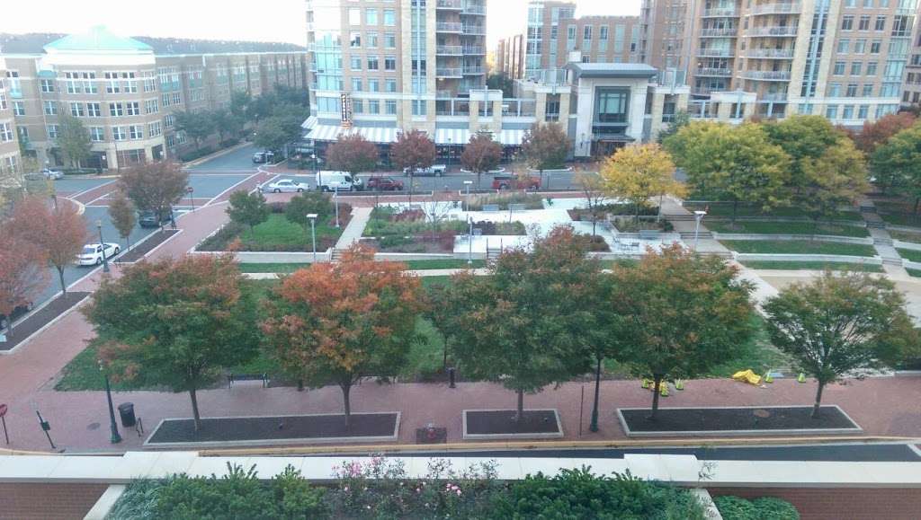 Reston Town Square Park | 11900 Market St, Reston, VA 20190, USA | Phone: (703) 579-6720