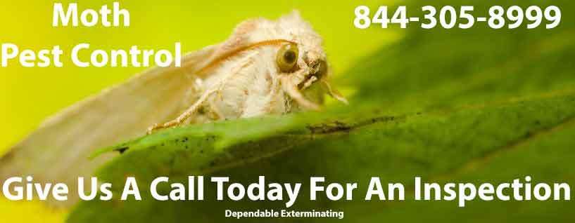 Dependable Exterminating Co., Inc. | 2812 Coddington Ave, Bronx, NY 10461, USA | Phone: (718) 824-4444