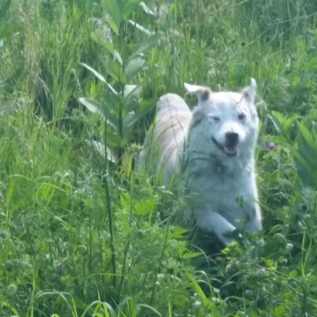 Lakewood Dog Park | Mundelein, IL 60060, USA