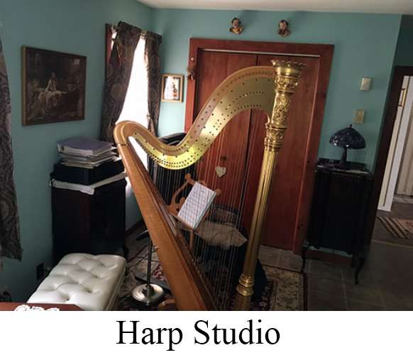 Planet Harp | 3922 Orchard Rd, Macungie, PA 18062, USA | Phone: (610) 966-5677