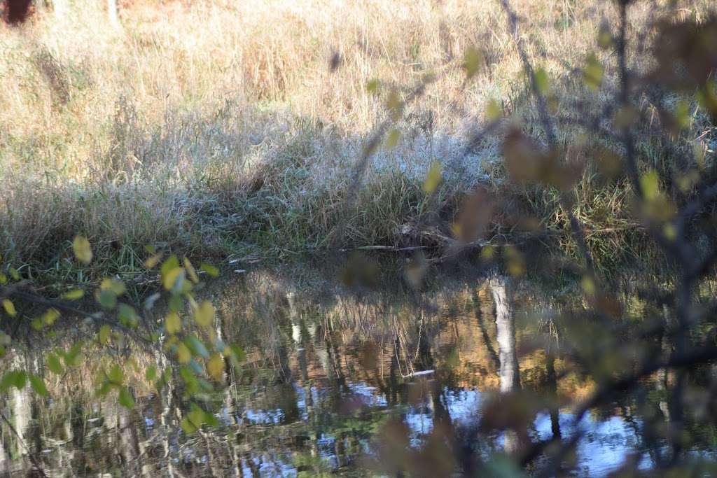 Assabet River Nature Trail | 124-126 Chapin Rd, Hudson, MA 01749, USA