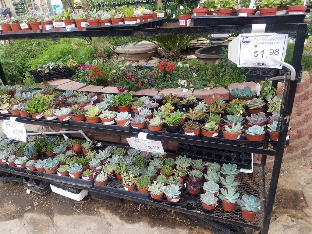 Star Nursery Garden & Rock Center | 8725 S Eastern Ave, Las Vegas, NV 89123 | Phone: (702) 333-7827