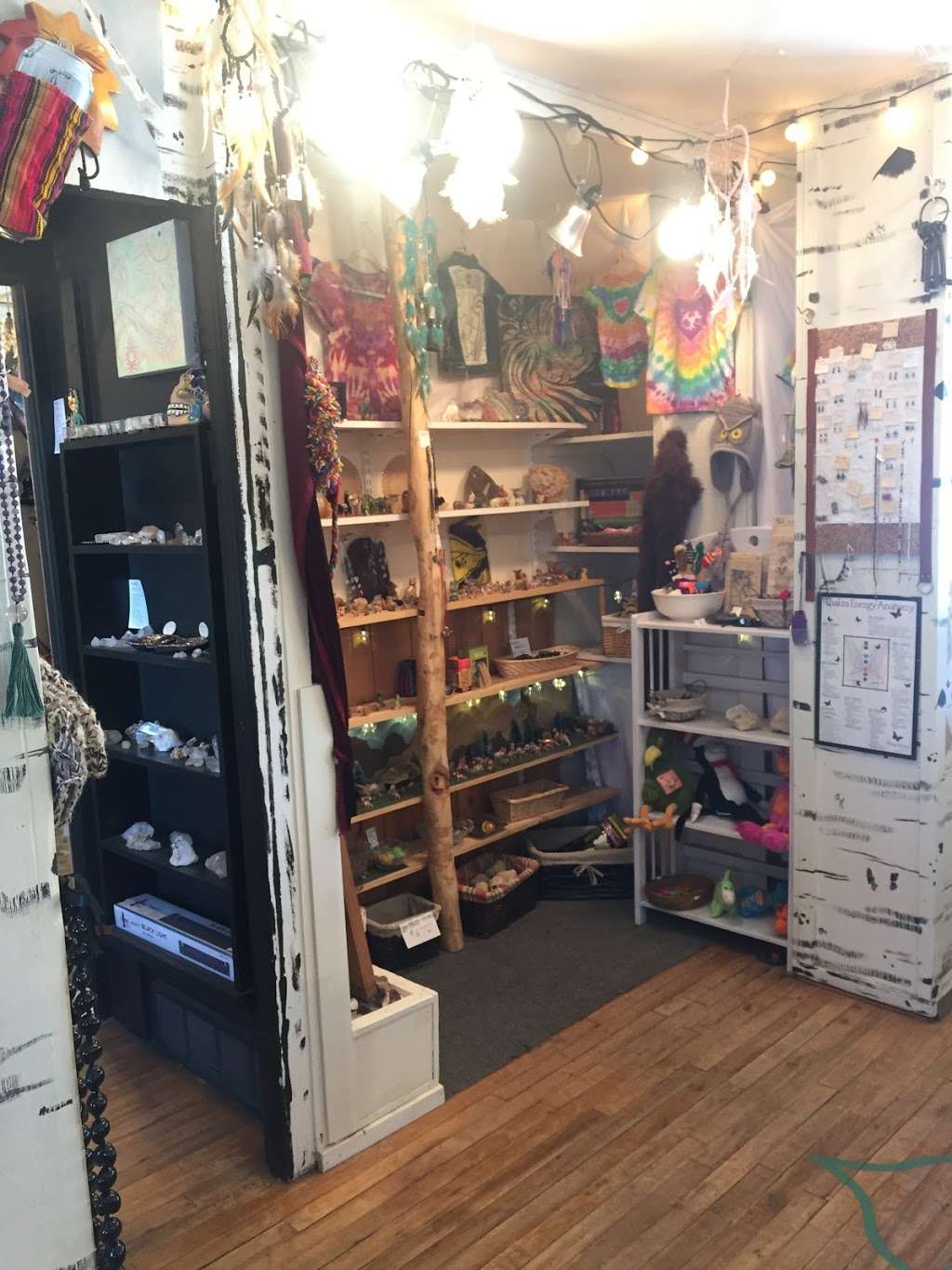 Level 7 Shaman Rock Shop | 6943 County Hwy 73, Evergreen, CO 80439, USA | Phone: (720) 883-8658