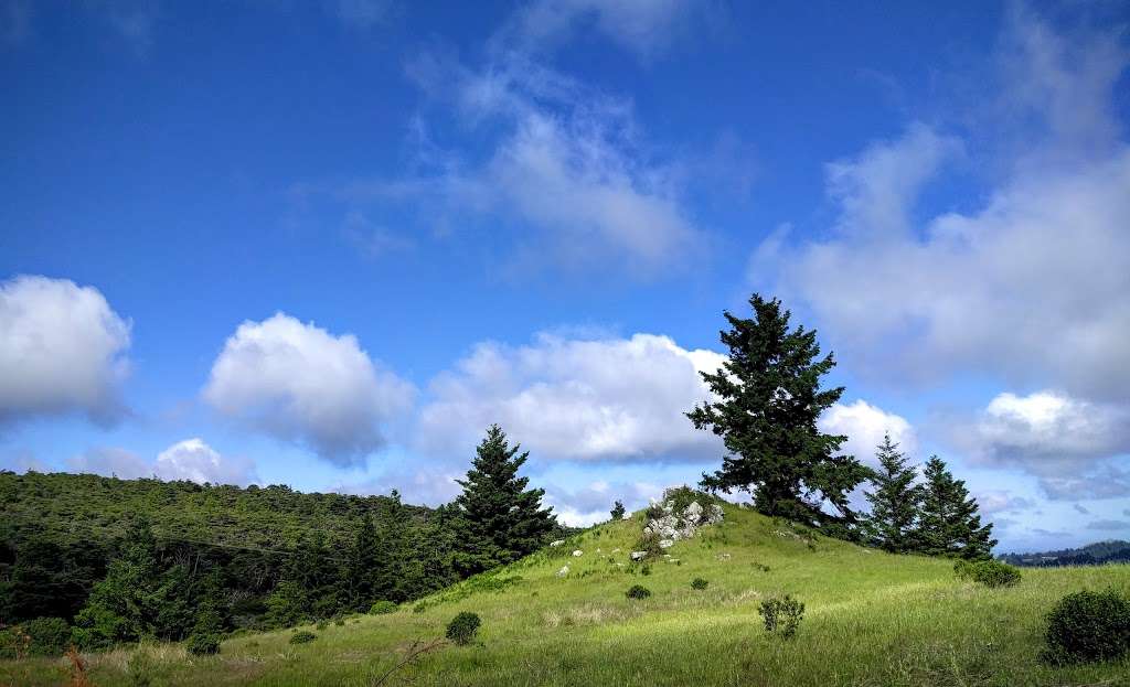 Gary Giacomini Open Space Preserve | San Geronimo Ridge Rd, Forest Knolls, CA 94933, USA