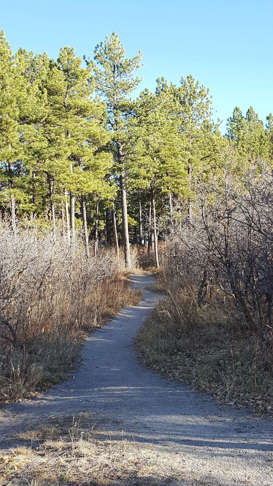 Dawson Butte Ranch Open Space Trail | 1753 Tomah Rd, Castle Rock, CO 80109, USA | Phone: (303) 660-7400