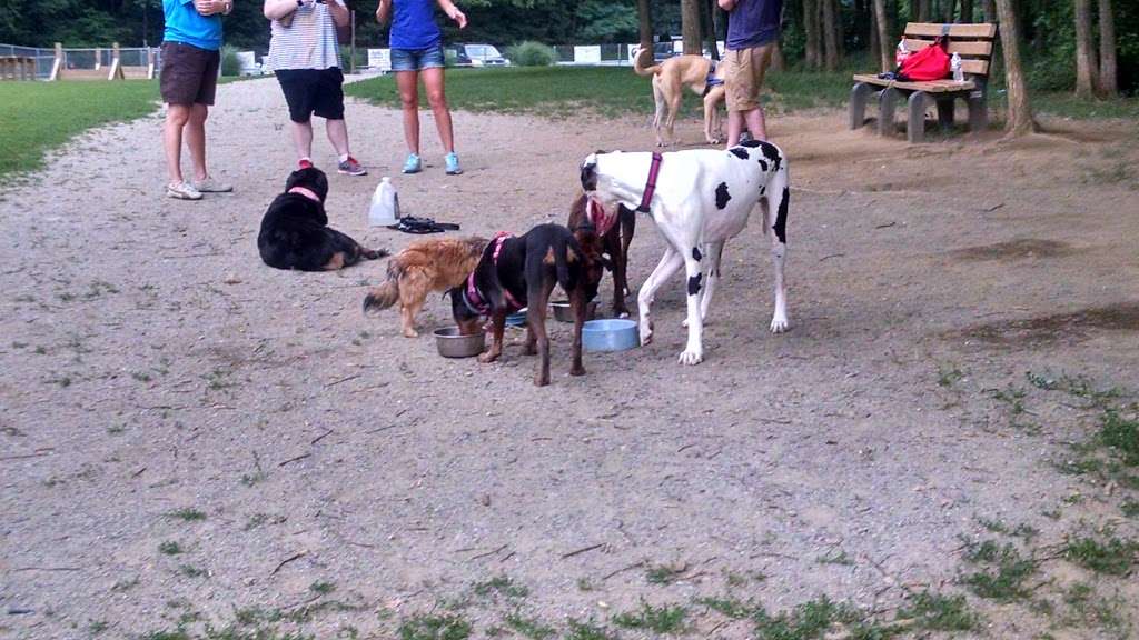 Central Park County Dog Park | Collins Rd, Morris Plains, NJ 07950, USA | Phone: (973) 326-7600