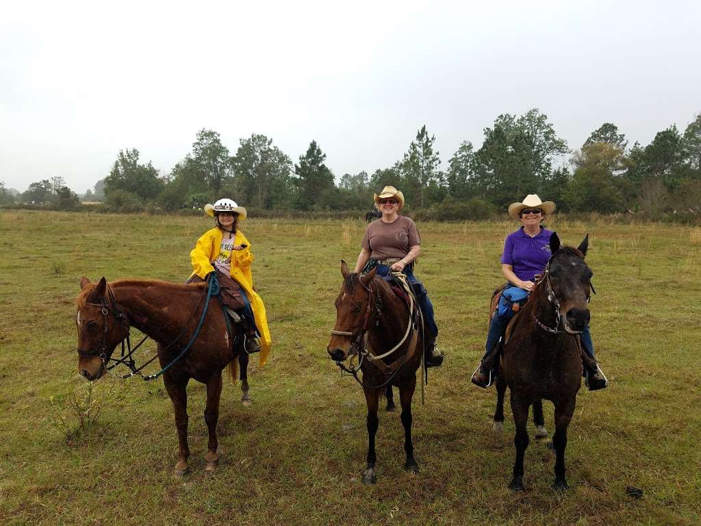 Wagon Train Trail Ride | 7001-, 7199 Old Melbourne Hwy, St Cloud, FL 34771