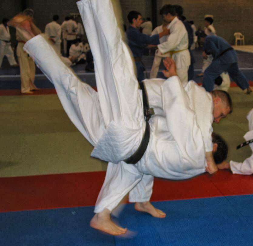 Carolinas American Judo Assoc dba Matthews PAL | 2246 Stevens Mill Rd, Matthews, NC 28104, USA | Phone: (704) 458-1222