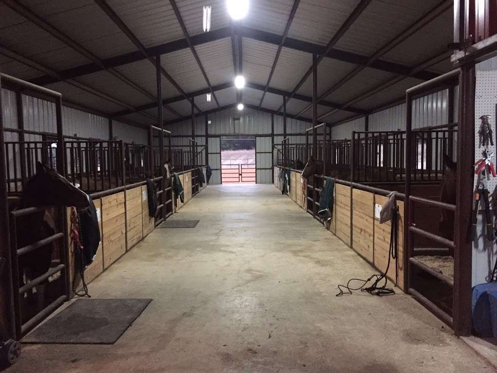 Spring Creek Stables | 21860 Babcock Rd, San Antonio, TX 78255 | Phone: (210) 784-0051