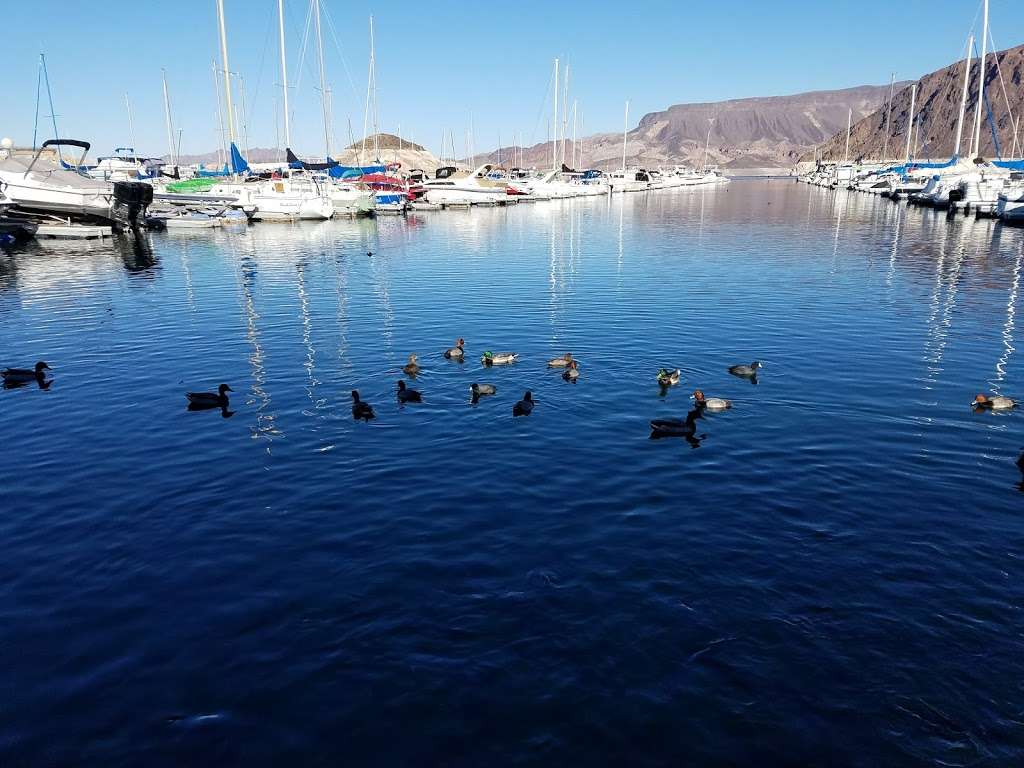 Lake Mead Marina | 490 Horsepower Cove, Boulder City, NV 89005 | Phone: (702) 293-3484