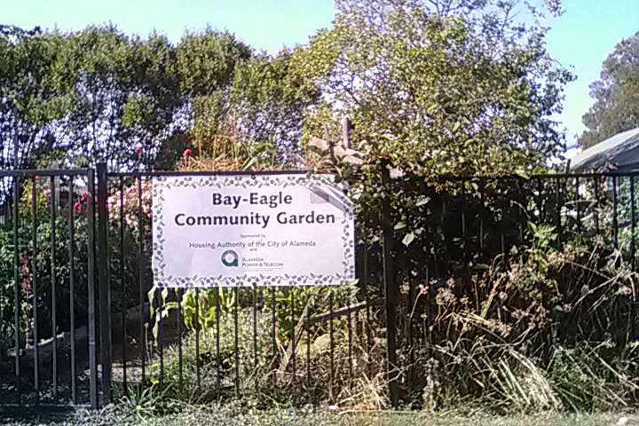 Bay Eagle Community GARDEN | Eagle Ave & Bay St, Alameda, CA 94501, USA