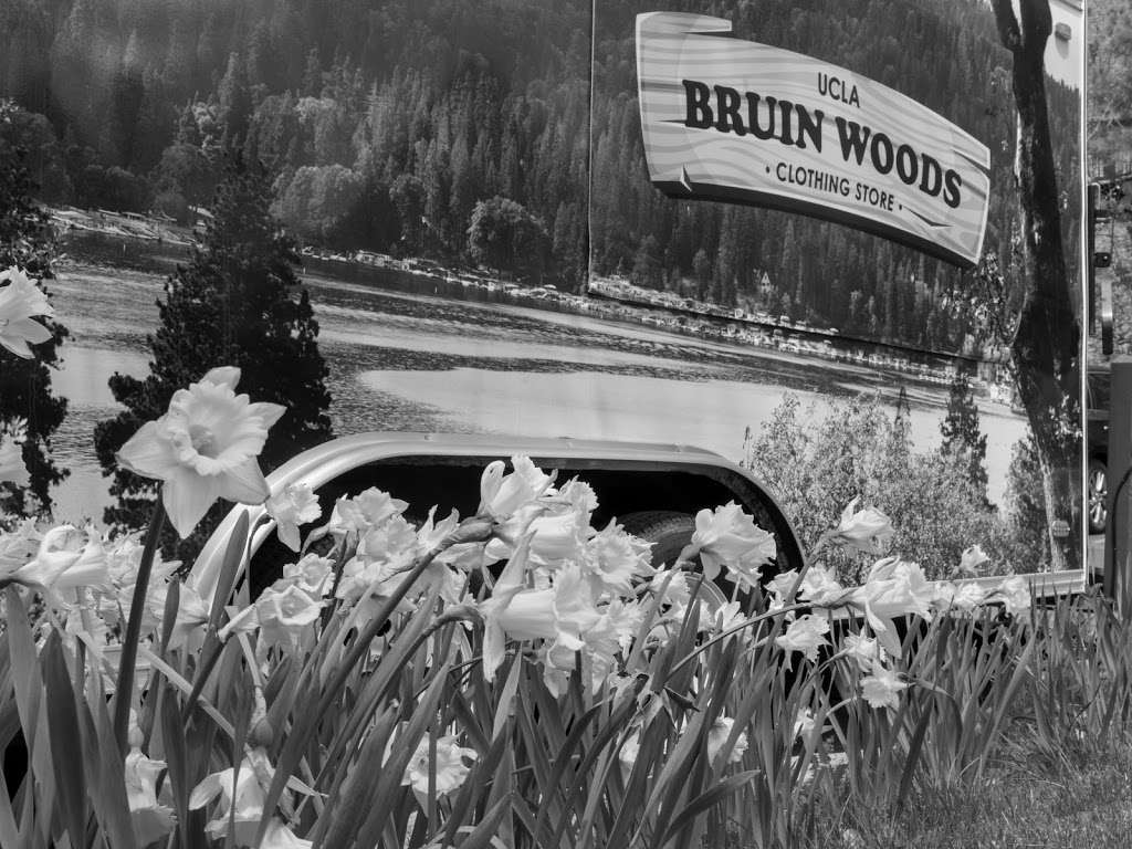 Bruin Woods | 850 Willow Creek Rd, Lake Arrowhead, CA 92352, USA | Phone: (909) 337-2478