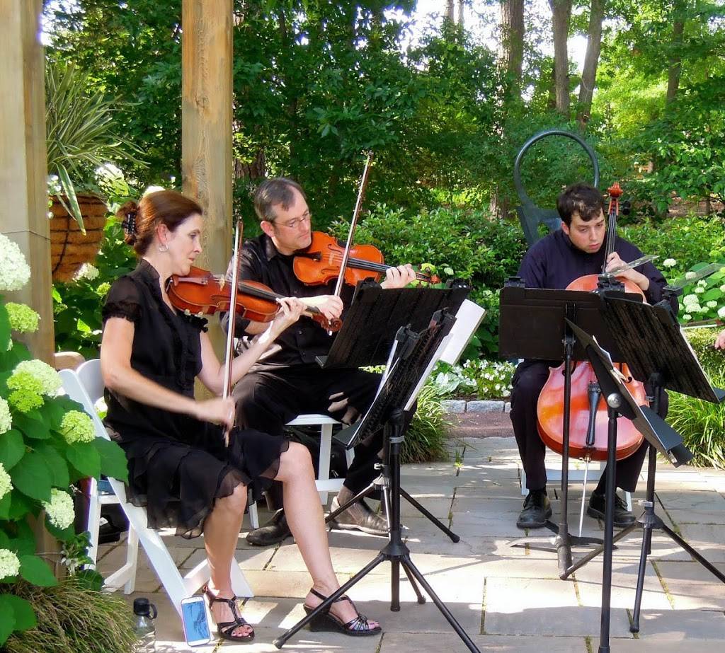 Arioso Strings | 204 Severn Ct, Cary, NC 27511, USA | Phone: (919) 616-0418