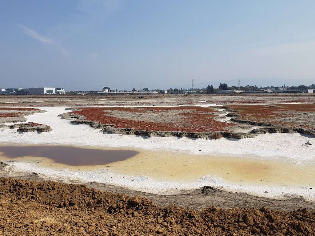 Bedwell Bayfront Park | 1600 Marsh Rd, Menlo Park, CA 94025, USA | Phone: (650) 330-2222