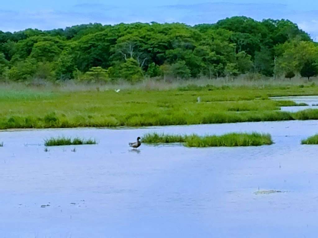 Seatuck National Wildlife Refuge | Islip, NY 11751, USA | Phone: (631) 286-0485