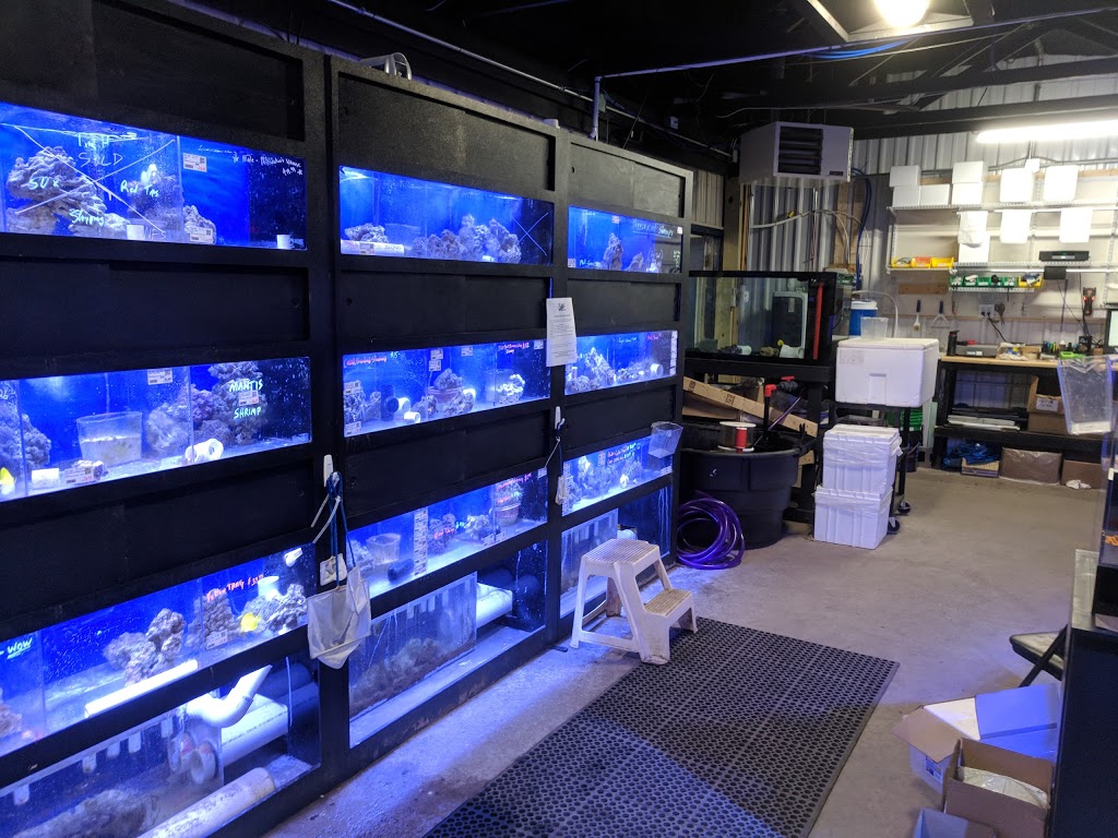 Premium Aquatics | 401 E Center Cross St, Edinburgh, IN 46124, USA | Phone: (317) 895-9005