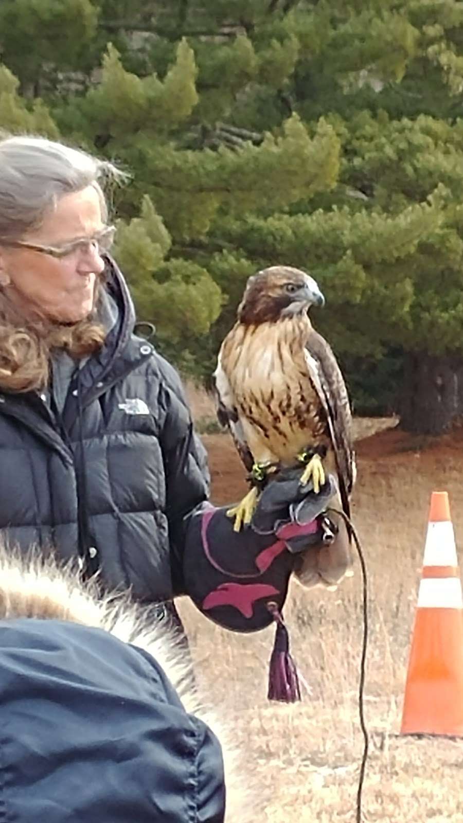 Shepaug Eagle Viewing | 2150 River Rd, Southbury, CT 06488, USA