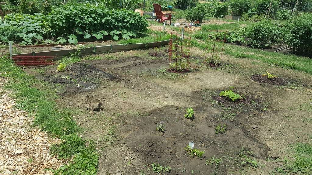 Chinquapin Community Gardens | Chinquapin Dr, Alexandria, VA 22302, USA | Phone: (703) 746-4343