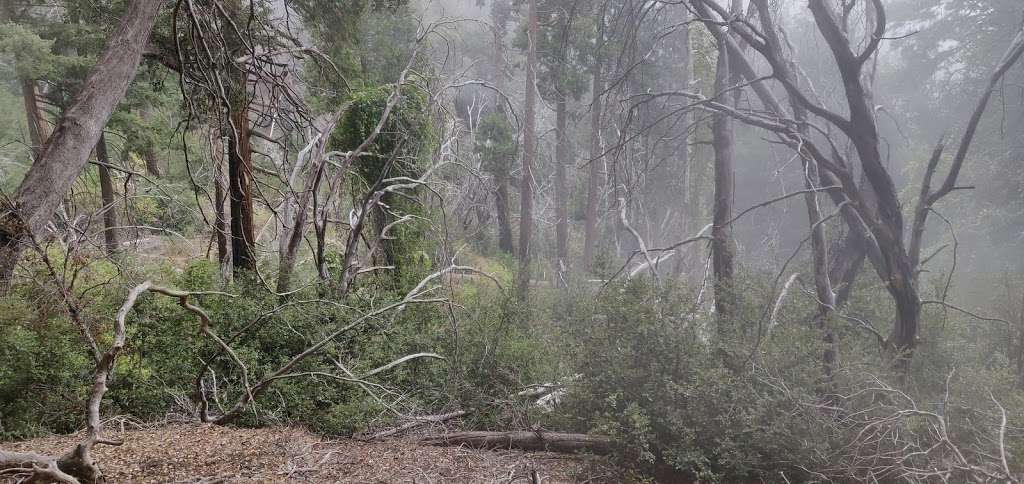 Yerba Santa Ampitheater | Azusa, CA 91702, USA