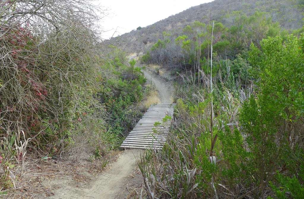 San Clemente Single Tracks | 301 Calle Extremo, San Clemente, CA 92672, USA
