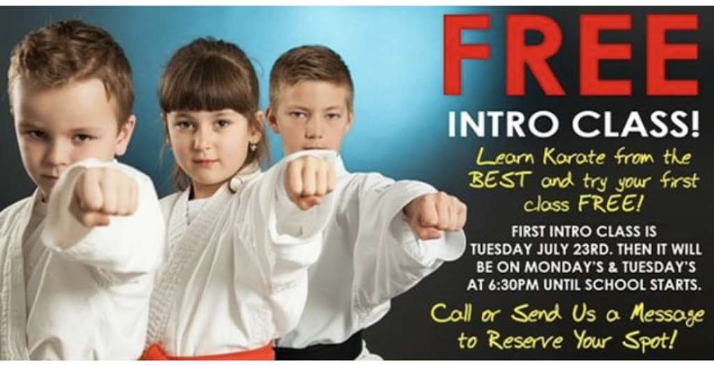 Paks Karate Texas | 12310 Woodcreek Dr, Willis, TX 77318, USA | Phone: (936) 524-1141