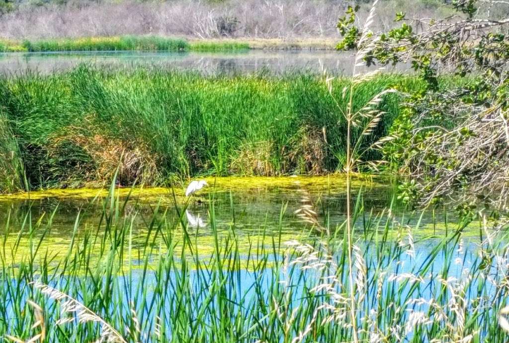 Hamilton Wetlands | Novato, CA 94949, USA