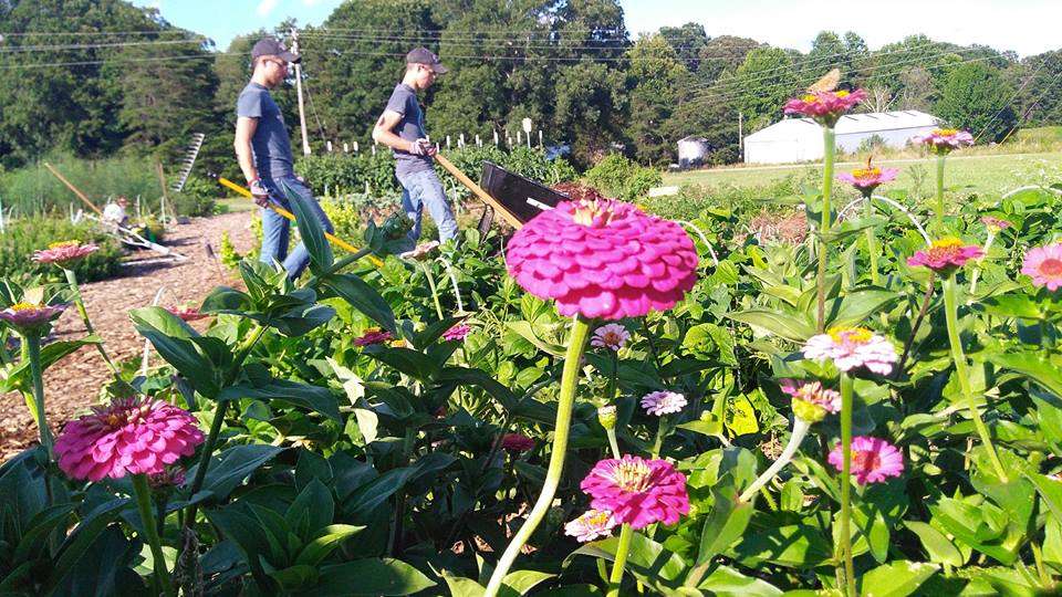 Deeper Down Community Garden | 149 Howards Creek Mill Rd, Lincolnton, NC 28092