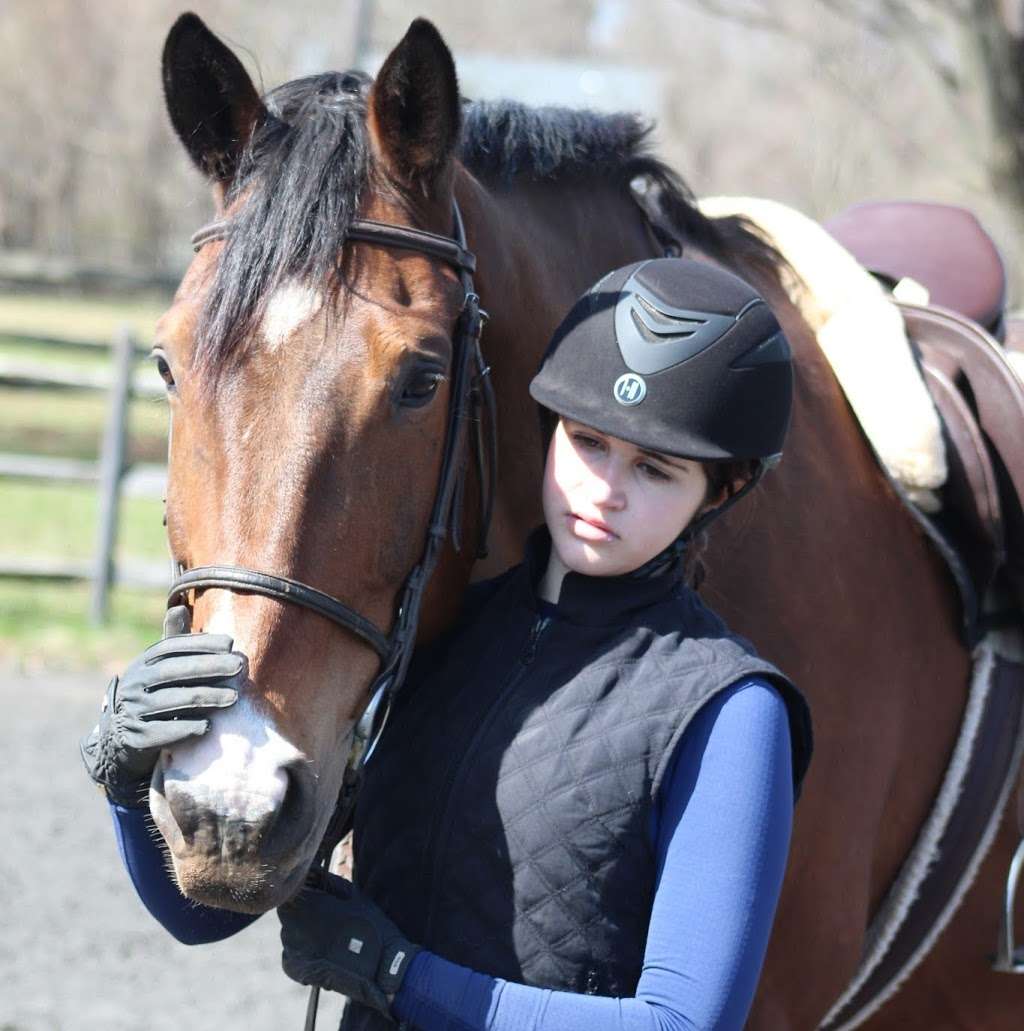 Lord Stirling Stable | 256 S Maple Ave, Basking Ridge, NJ 07920, USA | Phone: (908) 766-5955 Lord Stirling Stable | 256 S Maple Ave, Basking Ridge, NJ 07920, USA | Phone: (908) 766-5955