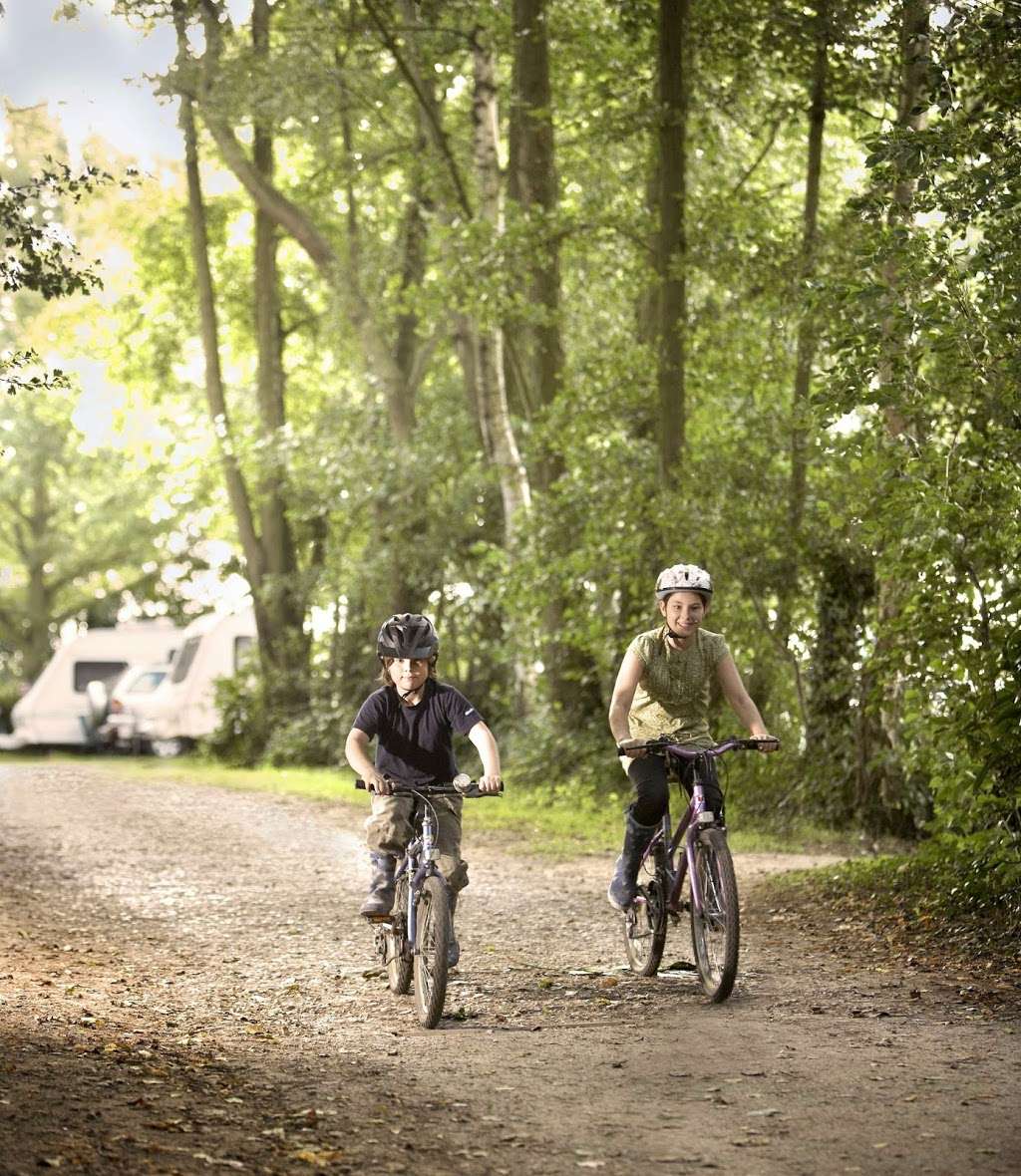 Kelvedon Hatch Camping and Caravanning Club Site | Warren Ln, Doddinghurst, Brentwood CM15 0JG, UK | Phone: 01277 372773