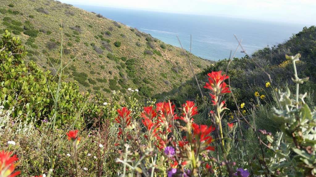 Leo Carrillo State Park | 35000 Pacific Coast Hwy, Malibu, CA 90265, USA | Phone: (310) 457-8143