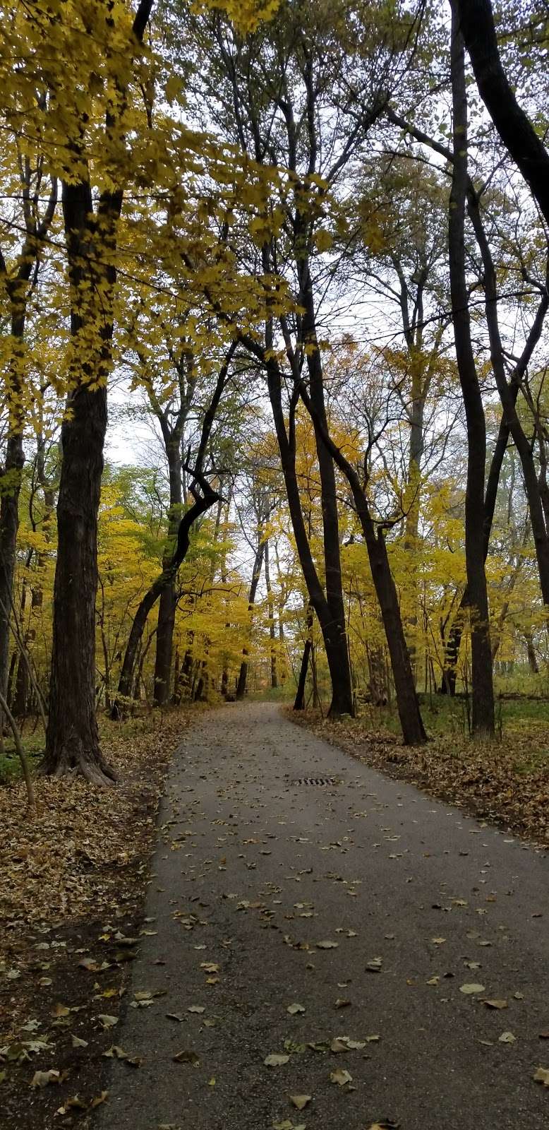 Seven Bridges | Seven Bridges Trail, South Milwaukee, WI 53172, USA