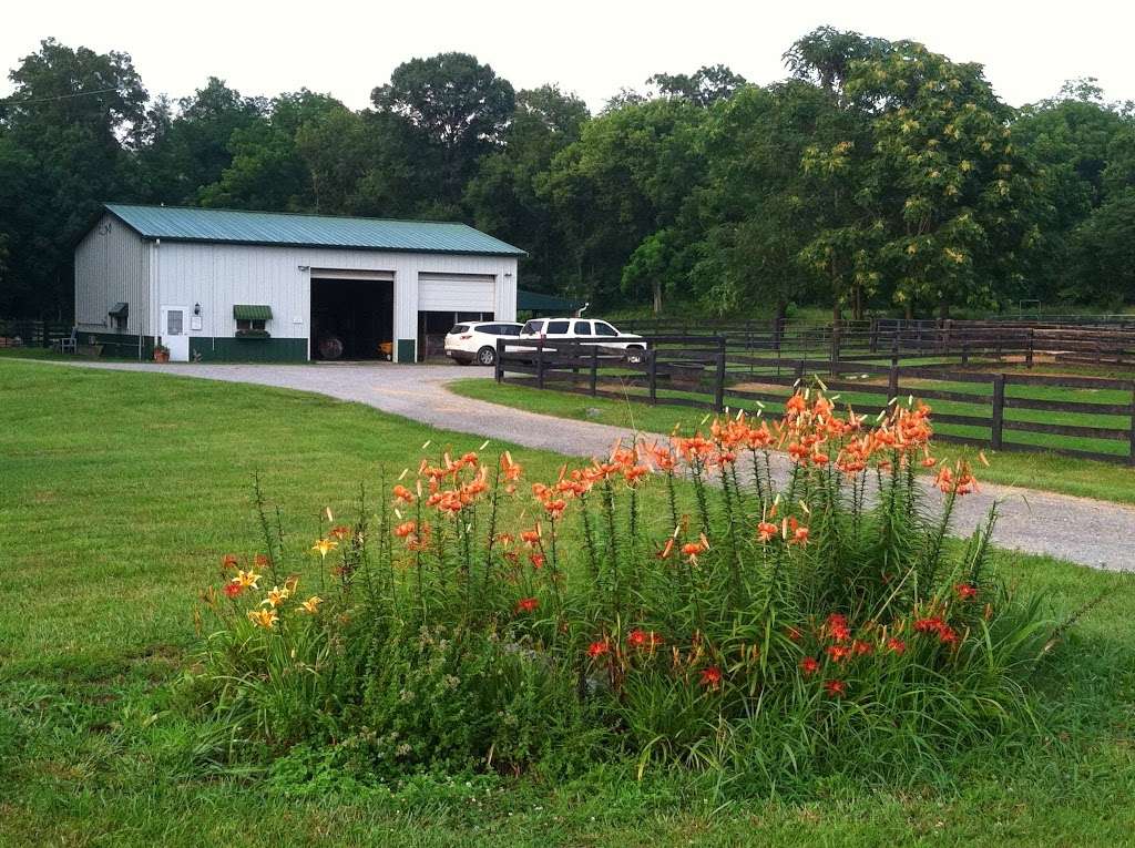 Clarke Equine Wellness and Performance | 1236 Kimble Rd, Berryville, VA 22611, USA | Phone: (540) 955-9115