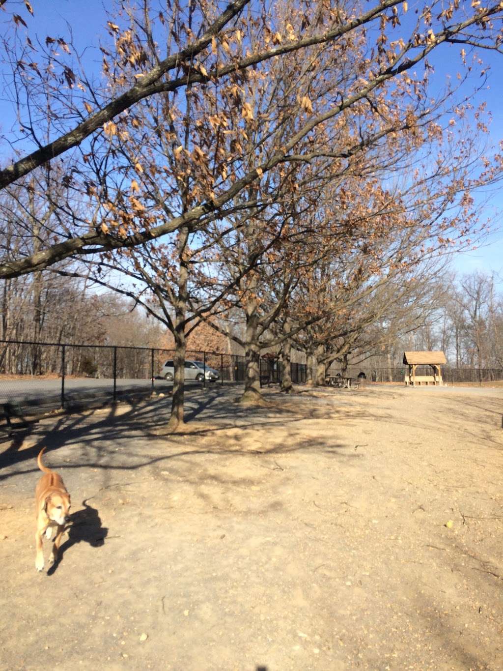Dog Exercise Area | Picnic Ln, Germantown, MD 20874, USA