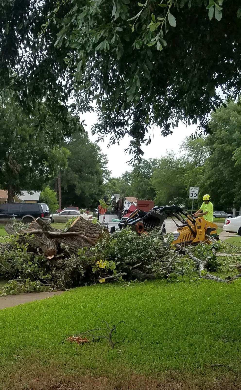 Arbor Masters Tree Service | 1510 Jelmak St, Grand Prairie, TX 75050, USA | Phone: (469) 586-5829