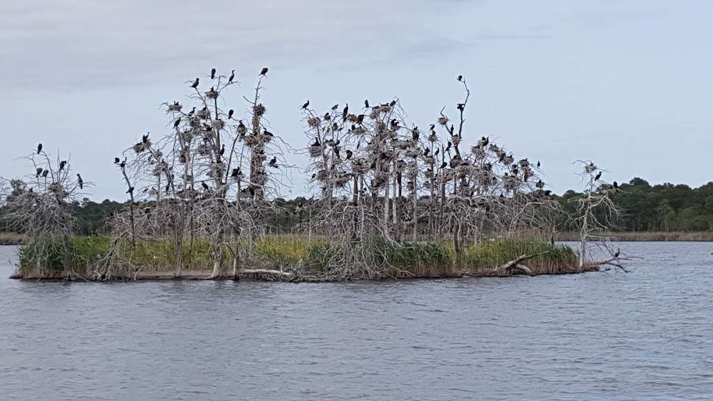 Heislerville Wildlife Management Area | Heislerville, NJ 08324, USA | Phone: (856) 785-0455