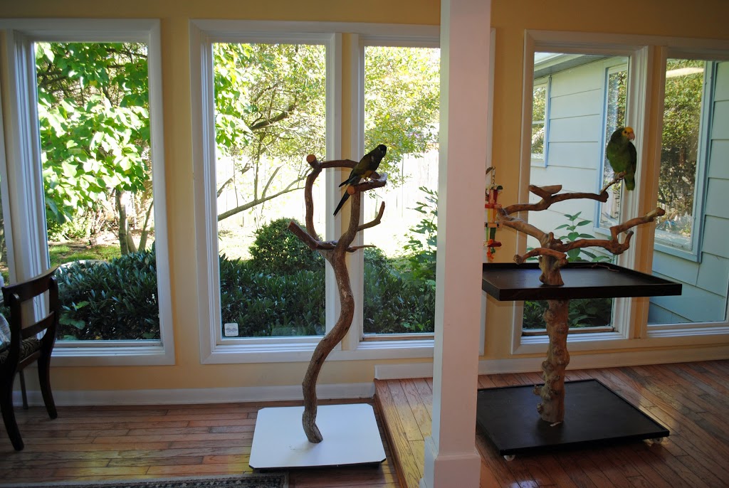 Avian and Exotics Center of Nashville | 3806 Old Hickory Blvd, Old Hickory, TN 37138, USA | Phone: (615) 360-0944