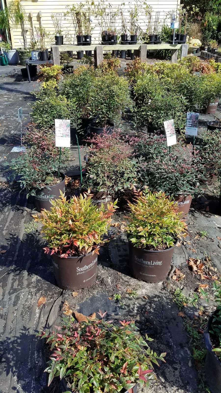 Inland Bays Garden Center | 38320 Muddy Neck Rd, Frankford, DE 19945, USA | Phone: (302) 539-1839