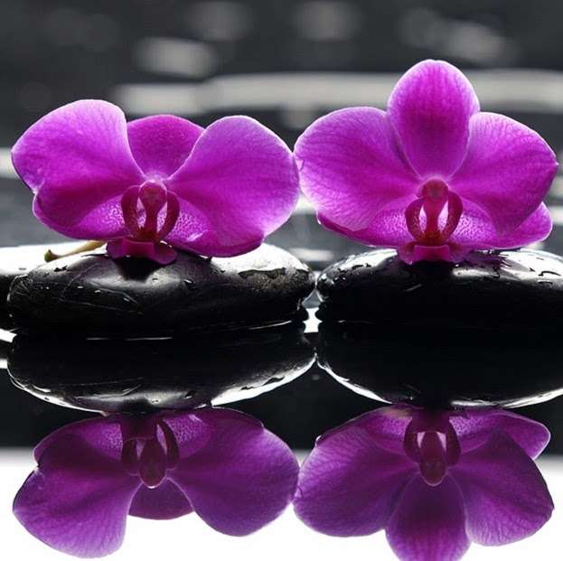 Holistic Therapy by Kate Harrison | 33 Waldenhurst Rd, Orpington BR5 4HN, UK | Phone: 07814 511388