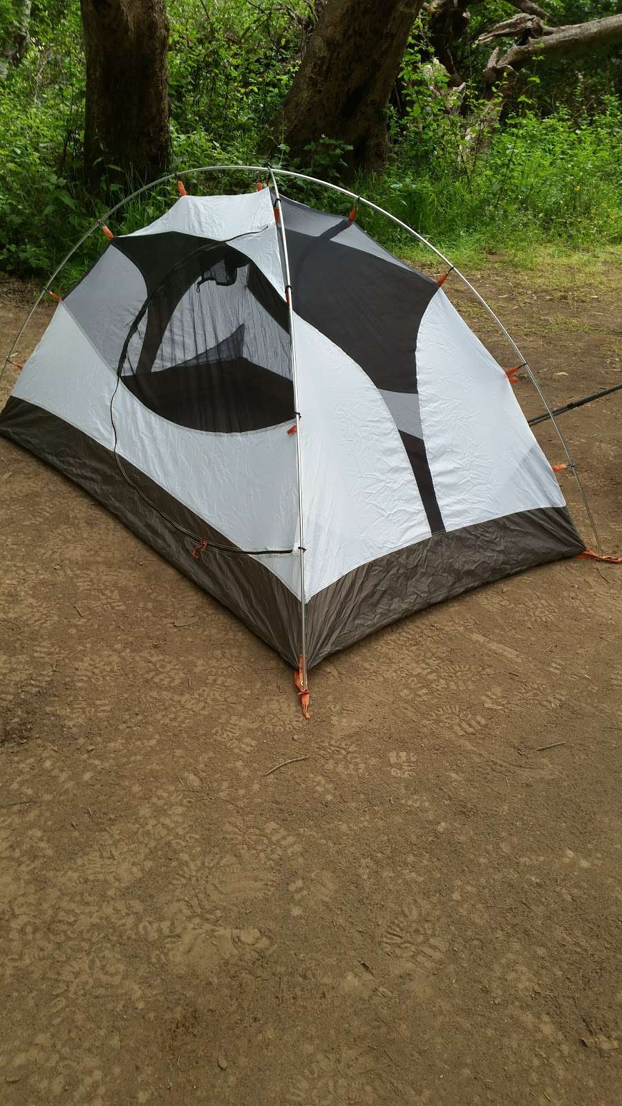 Twin Redwoods Trail Camp | Davenport, CA 95017, USA | Phone: (831) 338-8861