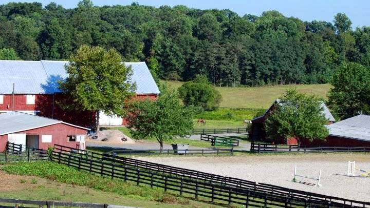 Rolling Acres Farm- Hunter/Jumper Horse Boarding, Lessons, Sales | 3111 Mt Carmel Cemetery Rd, Brookeville, MD 20833 | Phone: (301) 461-7159