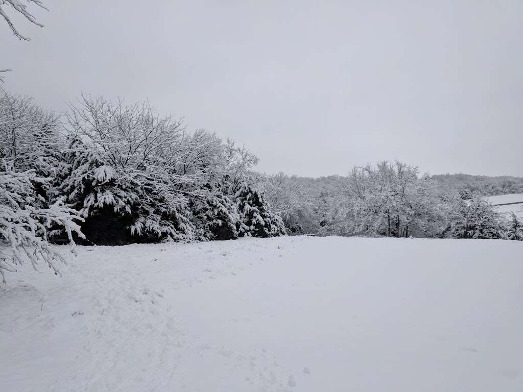 Clinton Lake Free Trailhead | Unnamed Road, Lawrence, KS 66049, USA