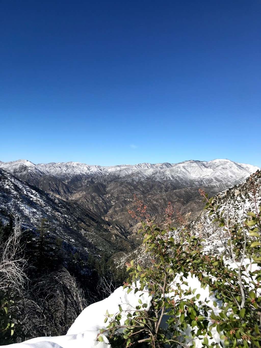 Strawberry peak west ridge trailhead | Colby Cyn Trail, Palmdale, CA 93550, USA