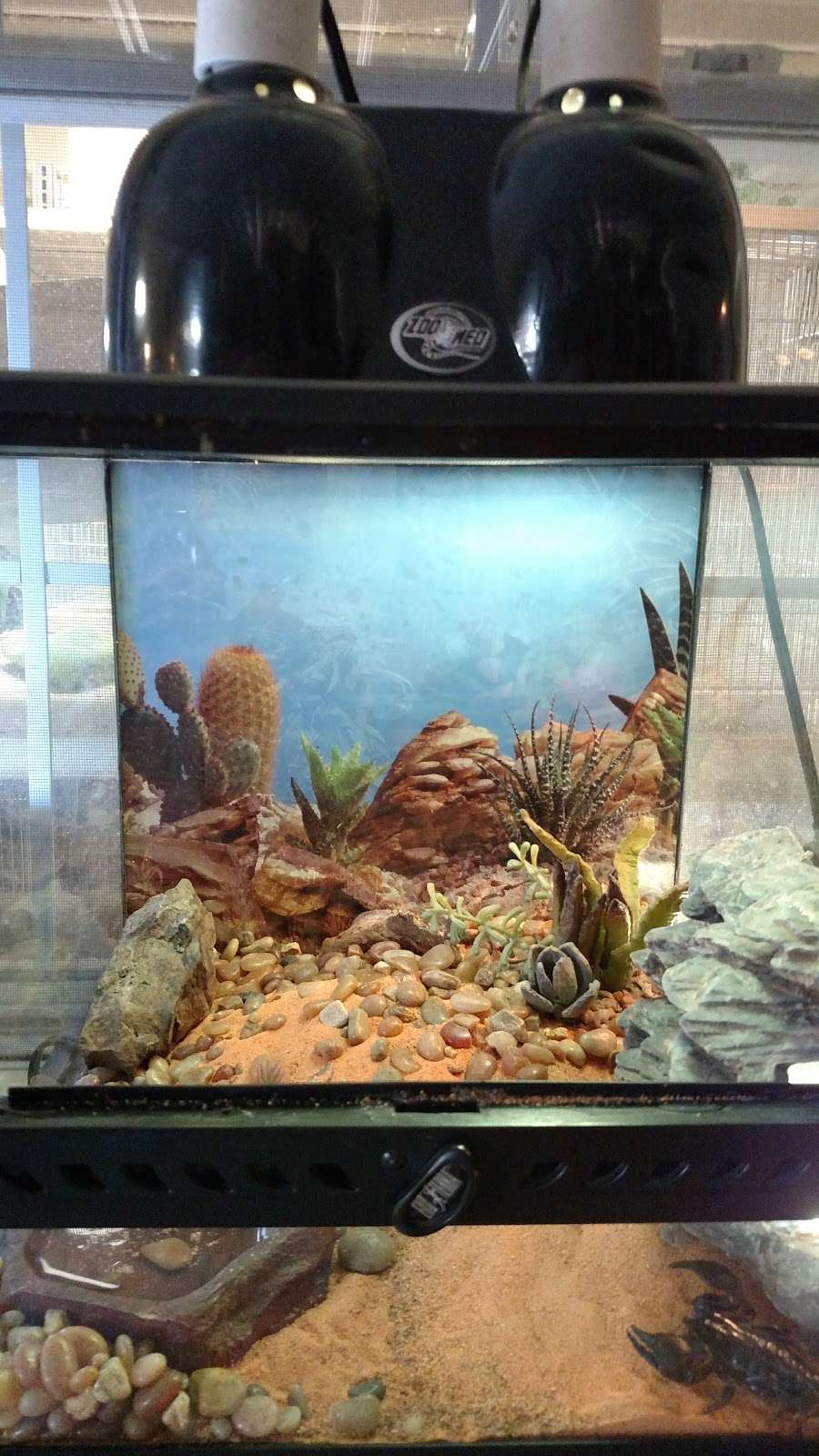 Pet & Bait Shop | 64730, Butler, MO 64730, USA | Phone: (660) 464-0165