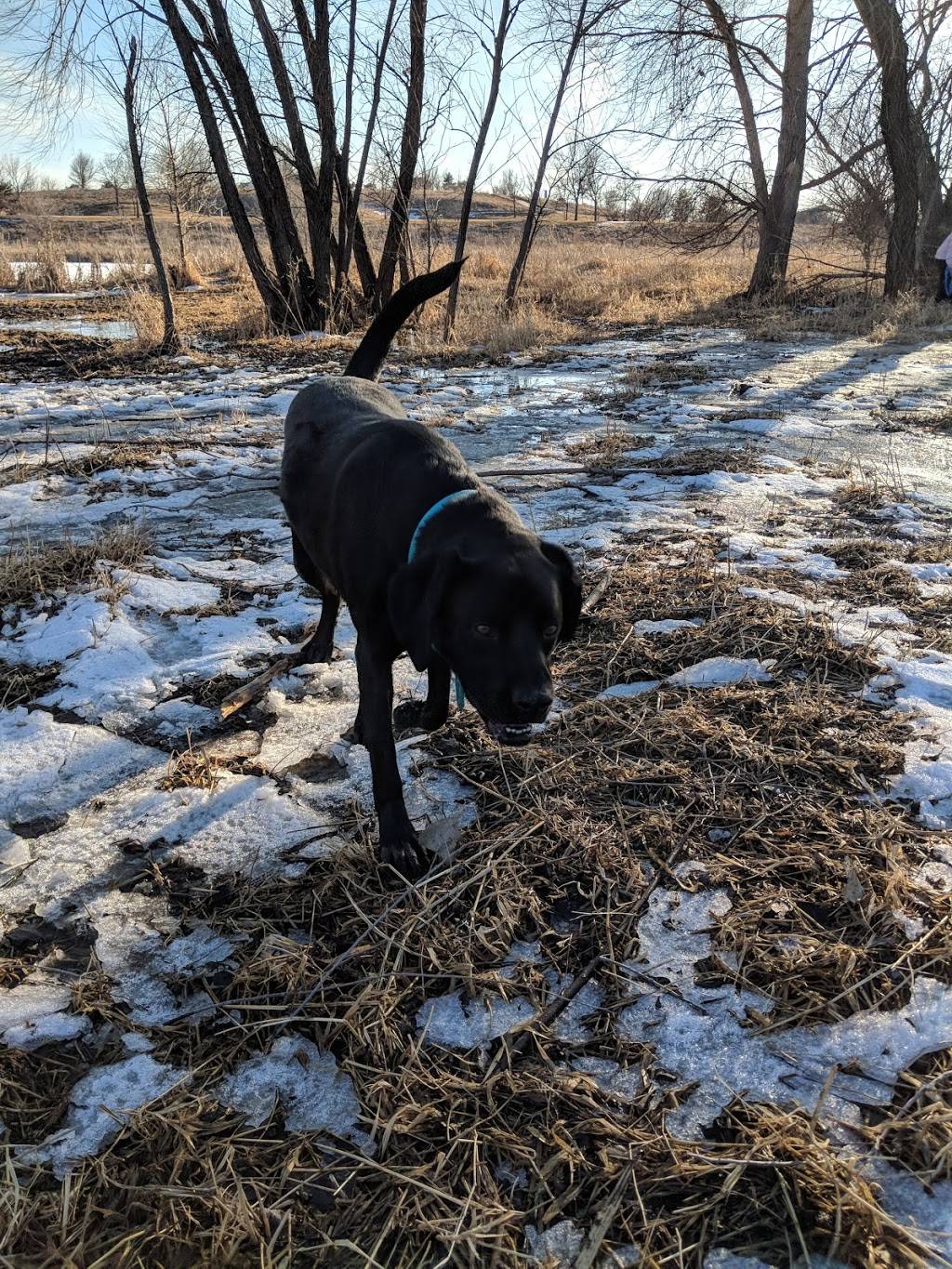 Walnut Creek Leash Free Dog Park | Papillion, NE 68046, USA | Phone: (402) 679-9889