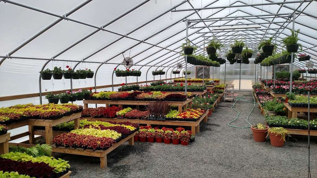 Matthews Greenhouses Inc | 2620 Reeves Island Rd, Richfield, NC 28137, USA | Phone: (704) 279-5464