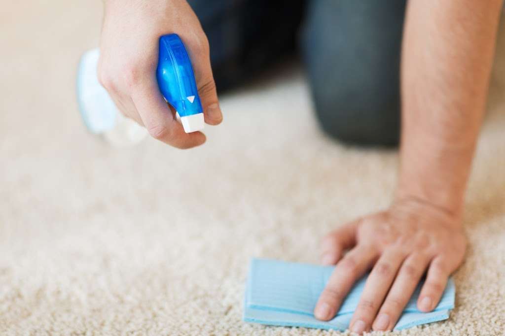 Highland Meadows Carpet & Upholstery Cleaners | 9658 Plano Rd, Dallas, TX 75238, USA | Phone: (972) 992-7717