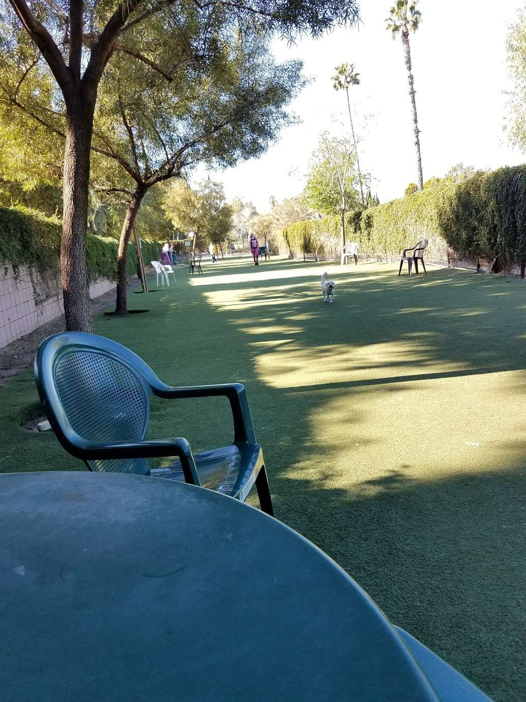 Laguna Hills Estates 23301 Ridge Rte Dr, Laguna Hills, CA 92653