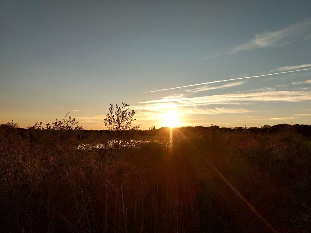 Morning Flight Songbird Count-- Cape May Bird Observatory | Higbees Beach Rd, Cape May, NJ 08204 | Phone: (609) 400-3868