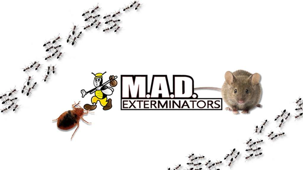 M.A.D. Exterminators Inc. | 78 S Trooper Rd, Norristown, PA 19403, USA | Phone: (610) 539-3180